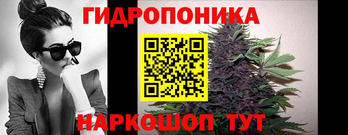 Волгодонск  Марихуана THC 21%  Бошки марихуана THC 21%  Вход с VPN 
